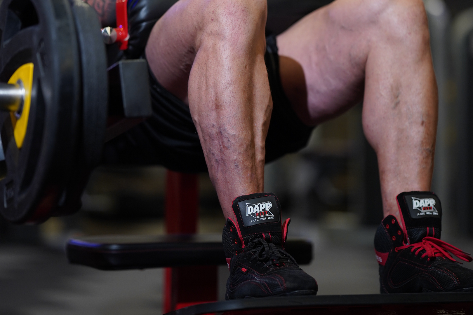 Fitness Is Not Just a Goal — It’s a Lifestyle. Start with DAPP